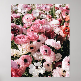 Impressão de pôster de flor rosa e branca