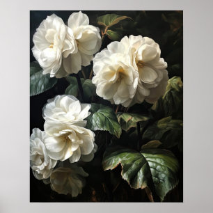 Impressão de Poster de Flores Brancas da Begonia