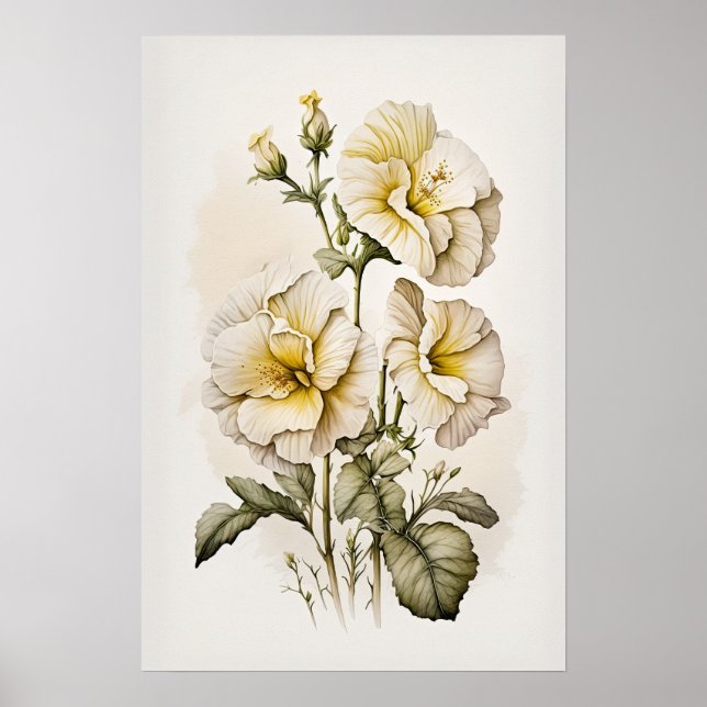 Impressão de Poster de Flores de Primrose Branca (Frente)