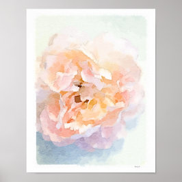 Impressão de poster de Peony Rosa-Cor-de-Água