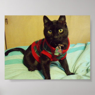 Impressão de Poster de Seimei bonito