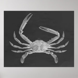 Impressão de Poster de triptych de caranguejo sobr