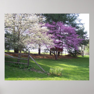 Impressão de primavera