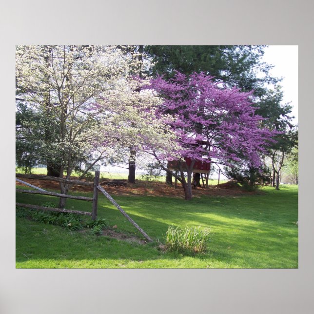 Impressão de primavera (Frente)