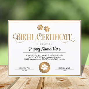 Impressão de Puppy Birds Certificate Paw