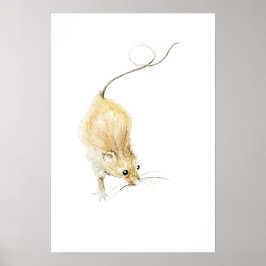 Impressão de Rato Curioso
