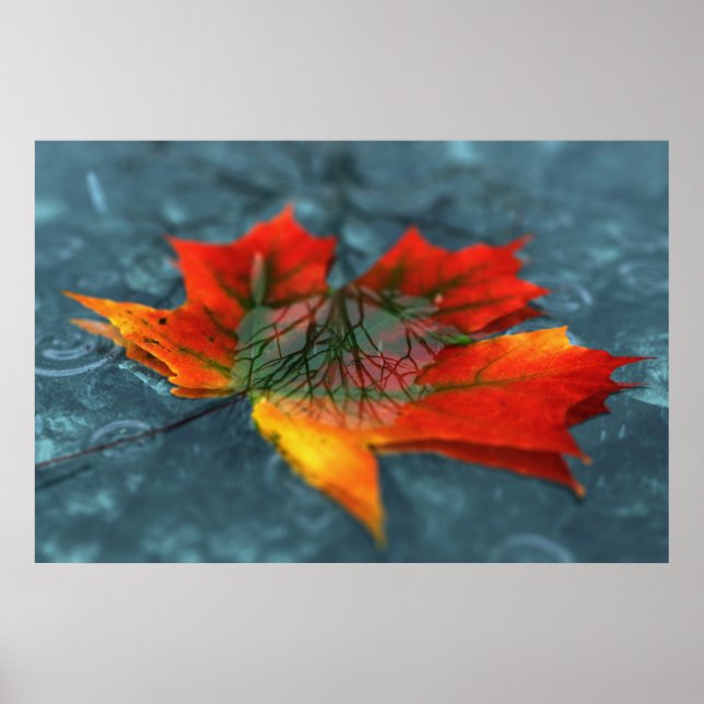 Impressão de Retroreflecção (Frente)