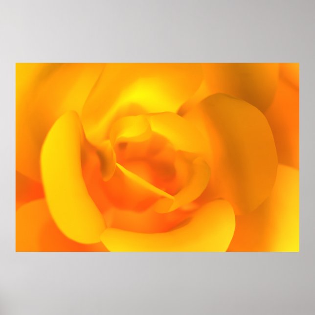 Impressão de Rosa Acesa (Frente)