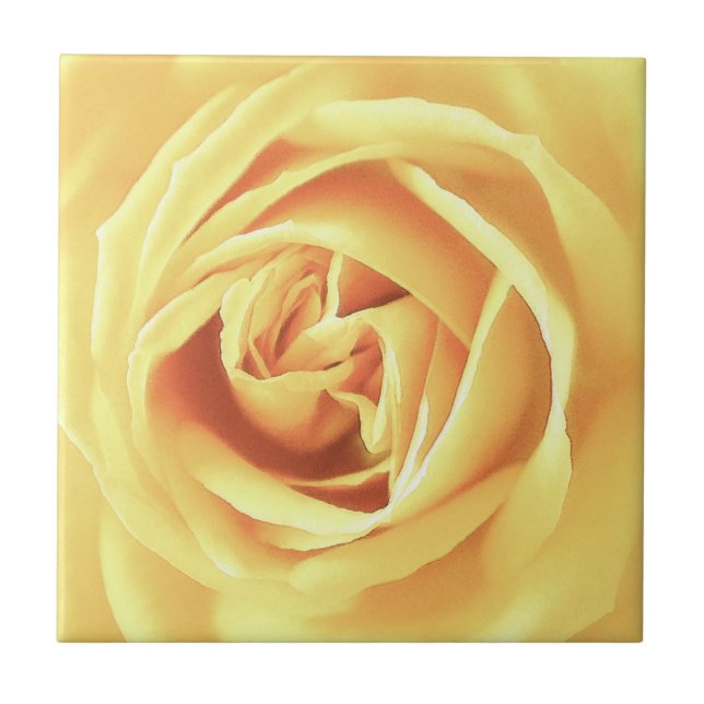 Impressão de rosa amarela (Frente)