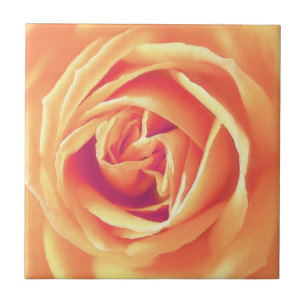 impressão de rosa de laranja de Pastel