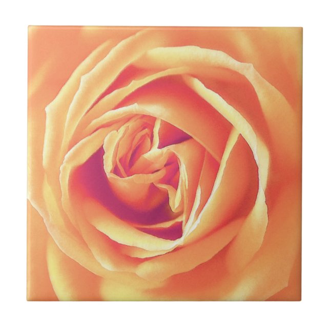 Impressão de rosa de laranja pastel (Frente)
