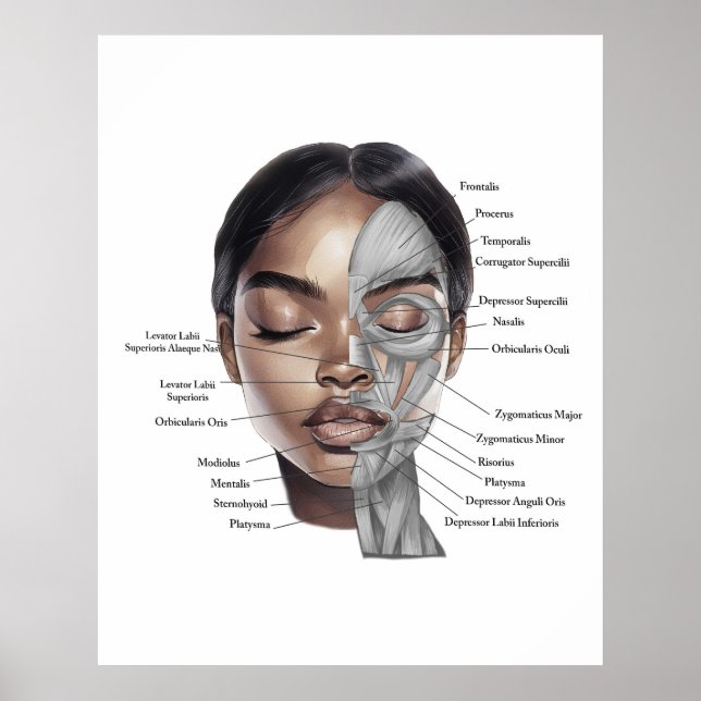 Impressão de Rosto de Anatomia 3 (Frente)