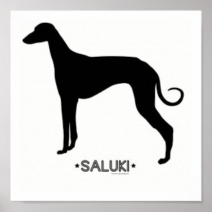 Impressão de Saluki