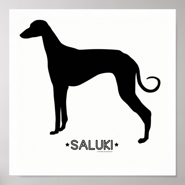 Impressão de Saluki (Frente)