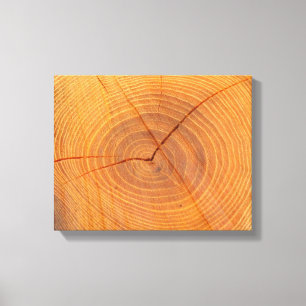 Impressão de seção transversal das canvas da