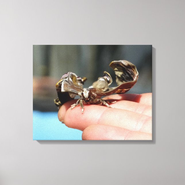 Impressão de Solteiro de Fotografia dos Amantes de (Frente)