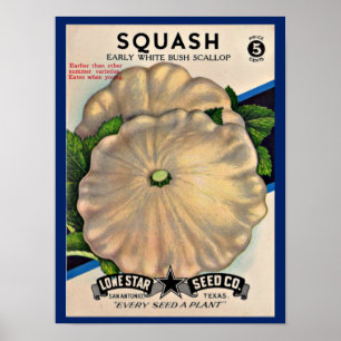 impressão de squash branco do pacote de sementes d