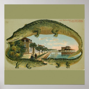 Impressão de St Augustine 1905 Florida