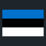 Impressão de Tela com Sinalizador da Estônia<br><div class="desc">Celebrar a herança estônia de forma ousada e artística com esta impressionante tela impressa com a bandeira da Estônia! Criada para combinar orgulho cultural com expressão artística, esta tela de alta qualidade mostra a bandeira icônica estônia em tons vibrantes, azuis e brancos. A textura da canvas melhora a profundidade e...</div>