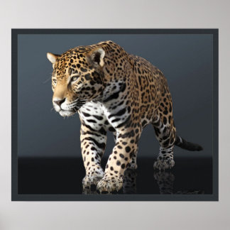 Impressão de tela de alimentação Jaguar -24x20 -ou