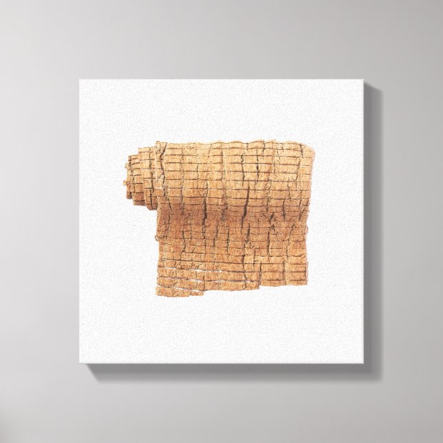 Impressão de tela de desenho Du Zhong (Frente)