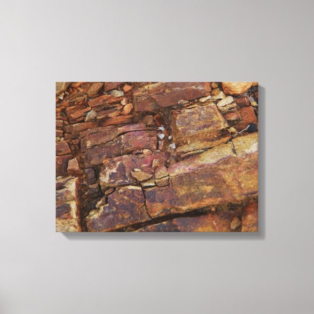 impressão de tela de exibição rochosa (Frente)