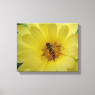 Impressão de tela de Hoverfly em um Marigold