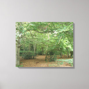 Impressão de tela de limpeza do Woodland