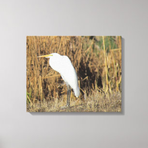 Impressão de Tela - Egret em Grass