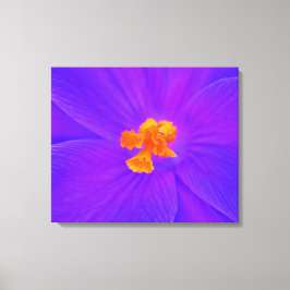 Impressão de tela estendida