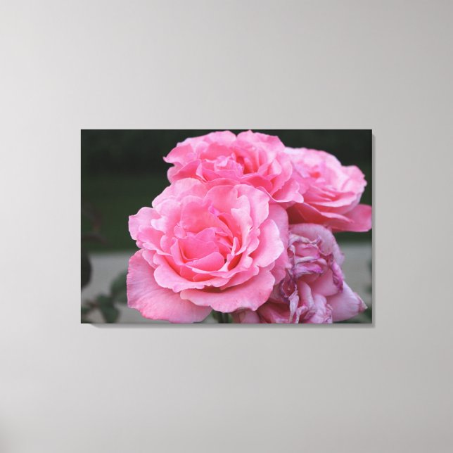 Impressão de tela estendida com retrato do rosa (Frente)