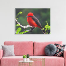 Impressão de Tela Esticada de Olho para Olho