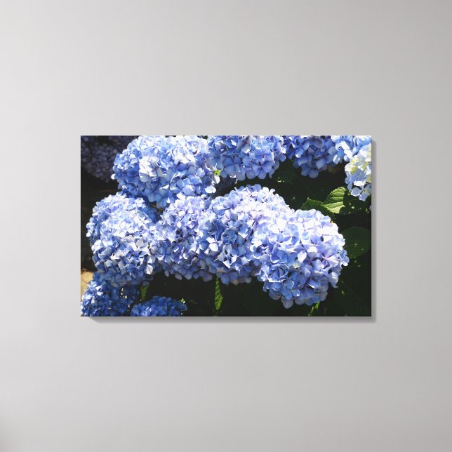 Impressão de Tela Hydrangea Azul (Frente)