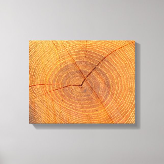 Impressão de Telas de Seção Cruzada da Árvore Acac (Frente)