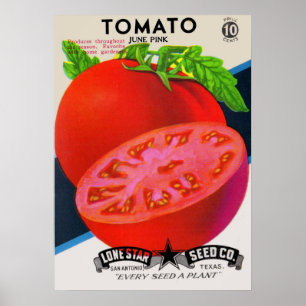 impressão de tomate de pacote de semente dos anos