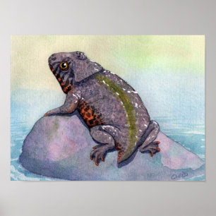Impressão de Triadobatrachus