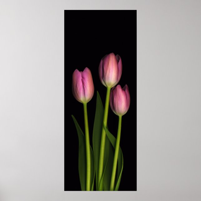 Impressão de triagem de tulipas rosa (Frente)