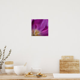 Impressão de Tulipa Roxa Florindo