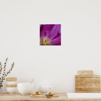 Impressão de Tulipa Roxa Florindo
