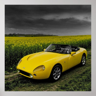 Impressão de TVR Griffith