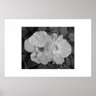 Impressão de ventilador