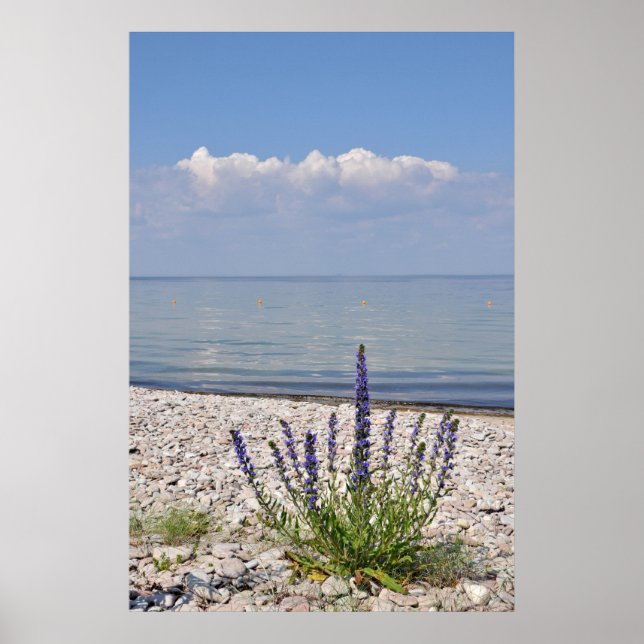 Impressão de Verão Sueco (Frente)