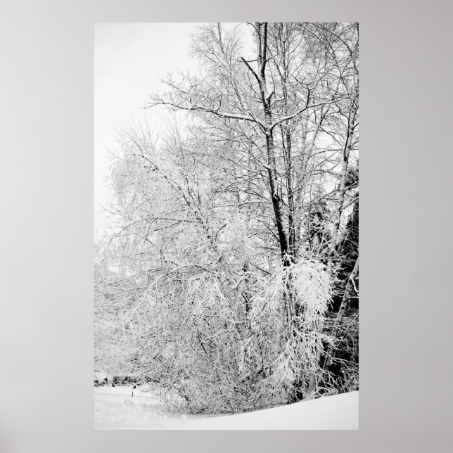 Impressão de verduras brancas (Frente)