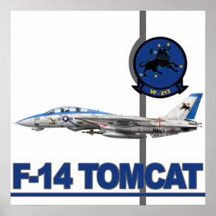 Impressão de VF-213 Blacklions