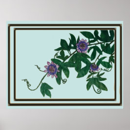 Impressão de Vinha de Flor da Paixão, Cartaz (Semi