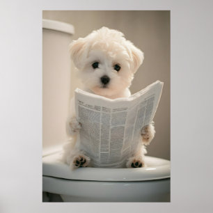 Impressão Divertida de Cachorrinho Maltês, Parede