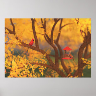 Impressão do Autumn Guardian