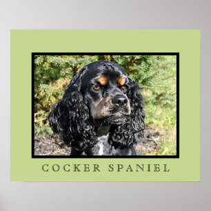 Impressão do Cocker Spaniel