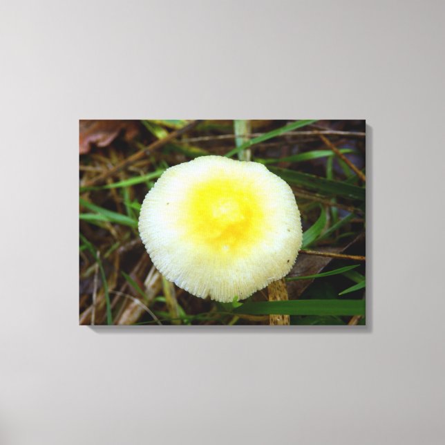 Impressão do Cogumelo do Boné de campo amarelo (Frente)