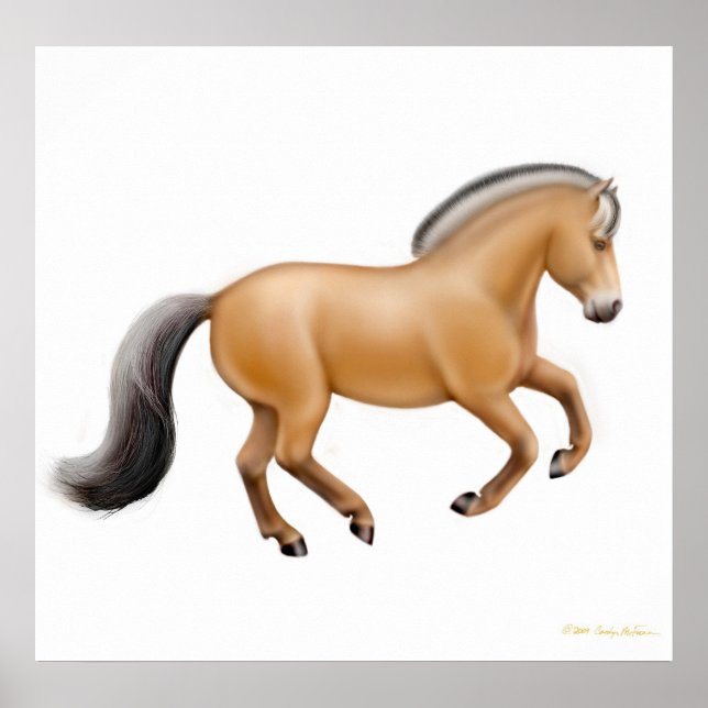 Impressão do Coro do Fjoro Norueguês (Frente)